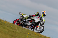 PJ-Motorsport-2019;anglesey-no-limits-trackday;anglesey-photographs;anglesey-trackday-photographs;enduro-digital-images;event-digital-images;eventdigitalimages;no-limits-trackdays;peter-wileman-photography;racing-digital-images;trac-mon;trackday-digital-images;trackday-photos;ty-croes